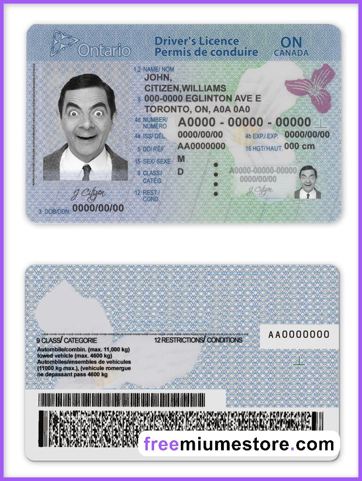 Ontario Driver license PSD Template Download